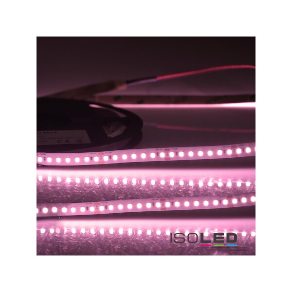 LED CRI Food Flexband Meat, 24V, 14,4W, IP54 Nano beschichtet