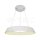 48W LED DESIGNER HANGING LIGHT(TRIAC DIMMABLE) 3000K-WHITE