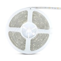 LS SMD5050 30 LED 6000K IP65